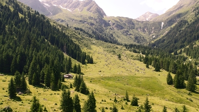 Die Laponesalm im Gschnitztal.